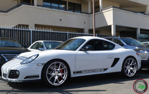 RF 009 cayman-4 RF 009 cayman-4