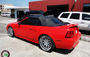 RF008 mustang3 RF008 mustang3