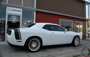 RoadForce RF008 on Dodge Challenger 20x9 front 20x10.5 rear