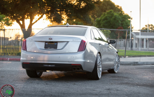 Cadillac CT6 on RoadForce RF15 22x9 22x10.5