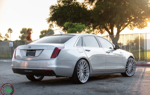 Cadillac CT6 on RoadForce RF15 22x9 22x10.5