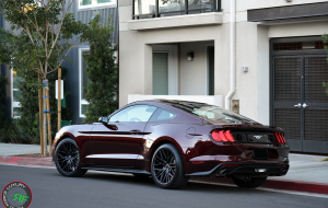 Ford Mustang on RoadForce RF13 wheels