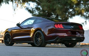Ford Mustang on RoadForce RF13 wheels Ford Mustang on RoadForce RF13 wheels