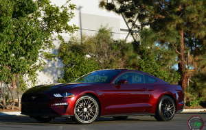 Ford Mustang on RoadForce RF13 wheels