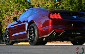 Ford Mustang on RoadForce RF13 wheels