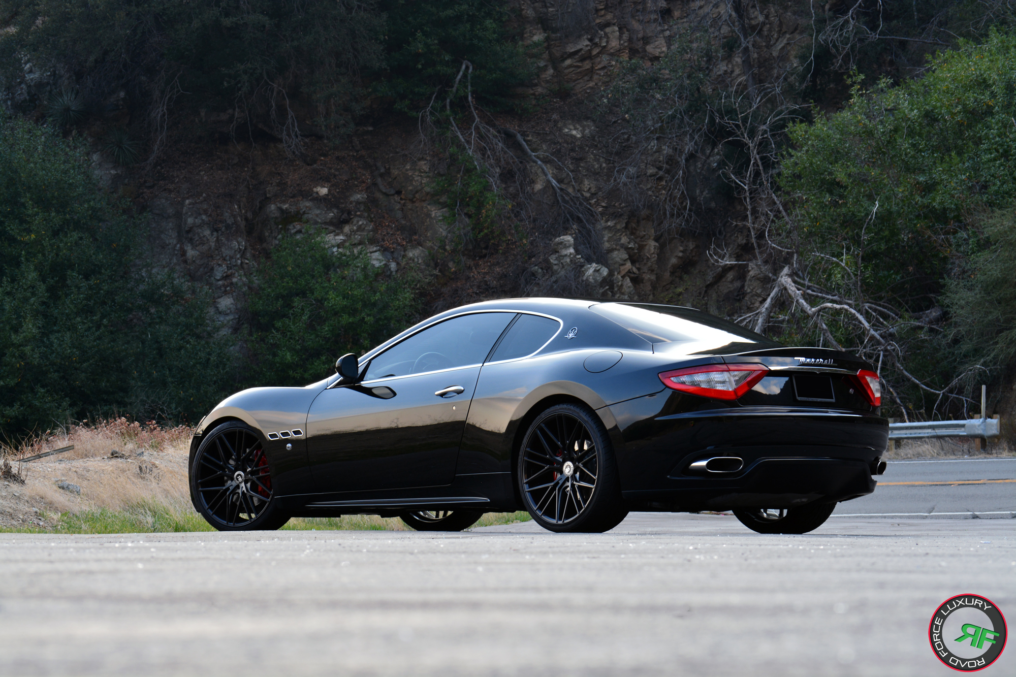 Maserati Gran Turismo on RoadForce RF13