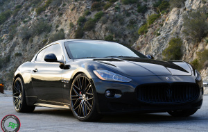 Maserati Gran Turismo on RoadForce RF13